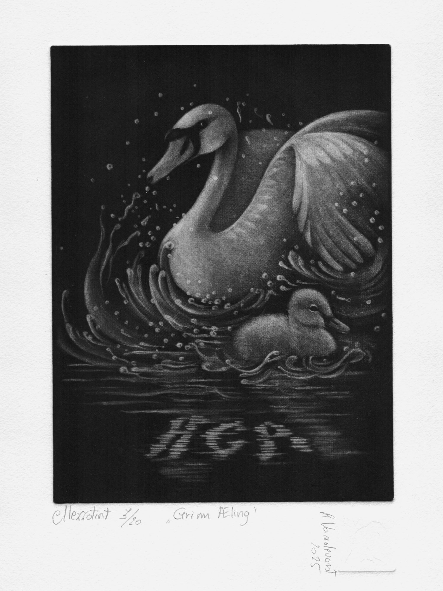 Den grimme ælling, mezzotint print by Rita Vandevorst, 2025