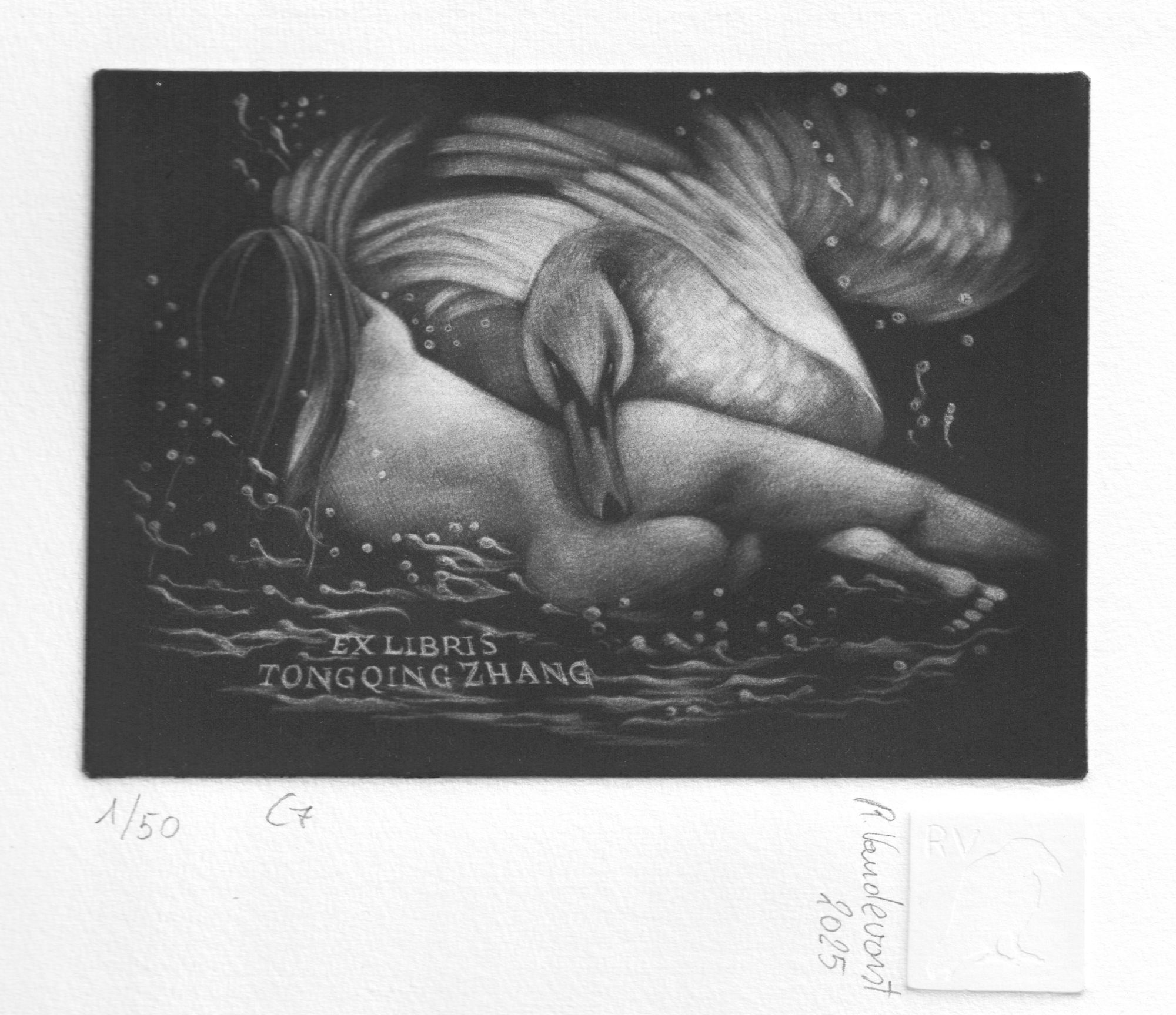 151 – Leda & Swan