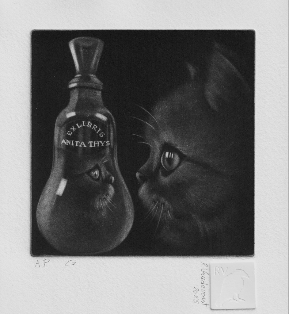 110 – Mirror cat