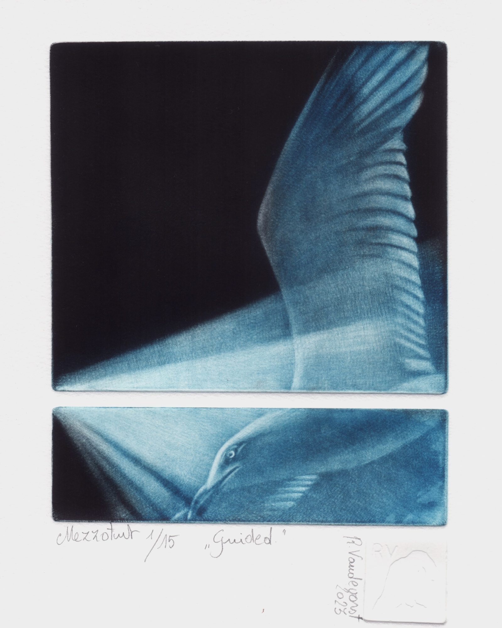 Guided, mezzotint print by Rita Vandevorst, 2023