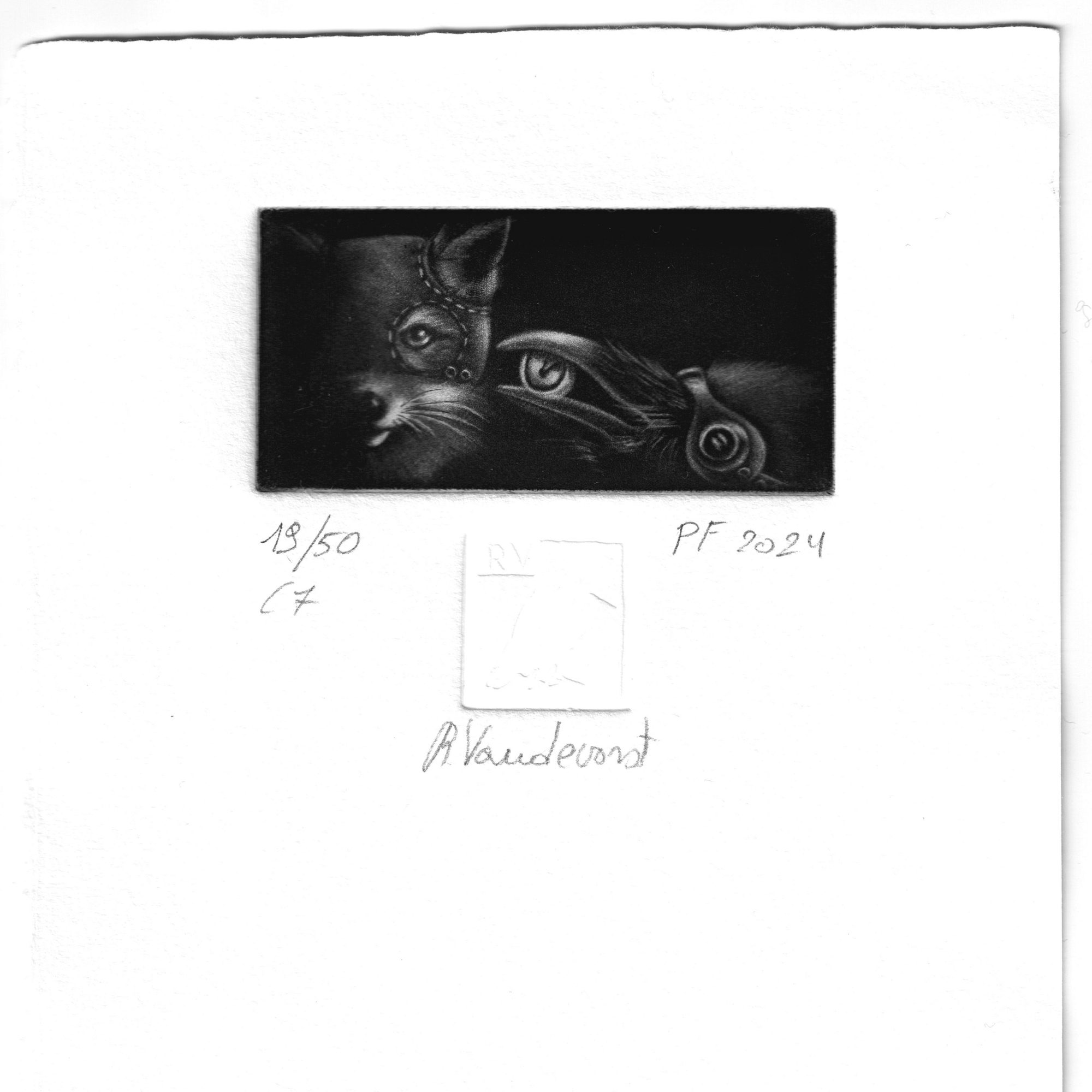 Wishes, mezzotint print by Rita Vandevorst, 2023