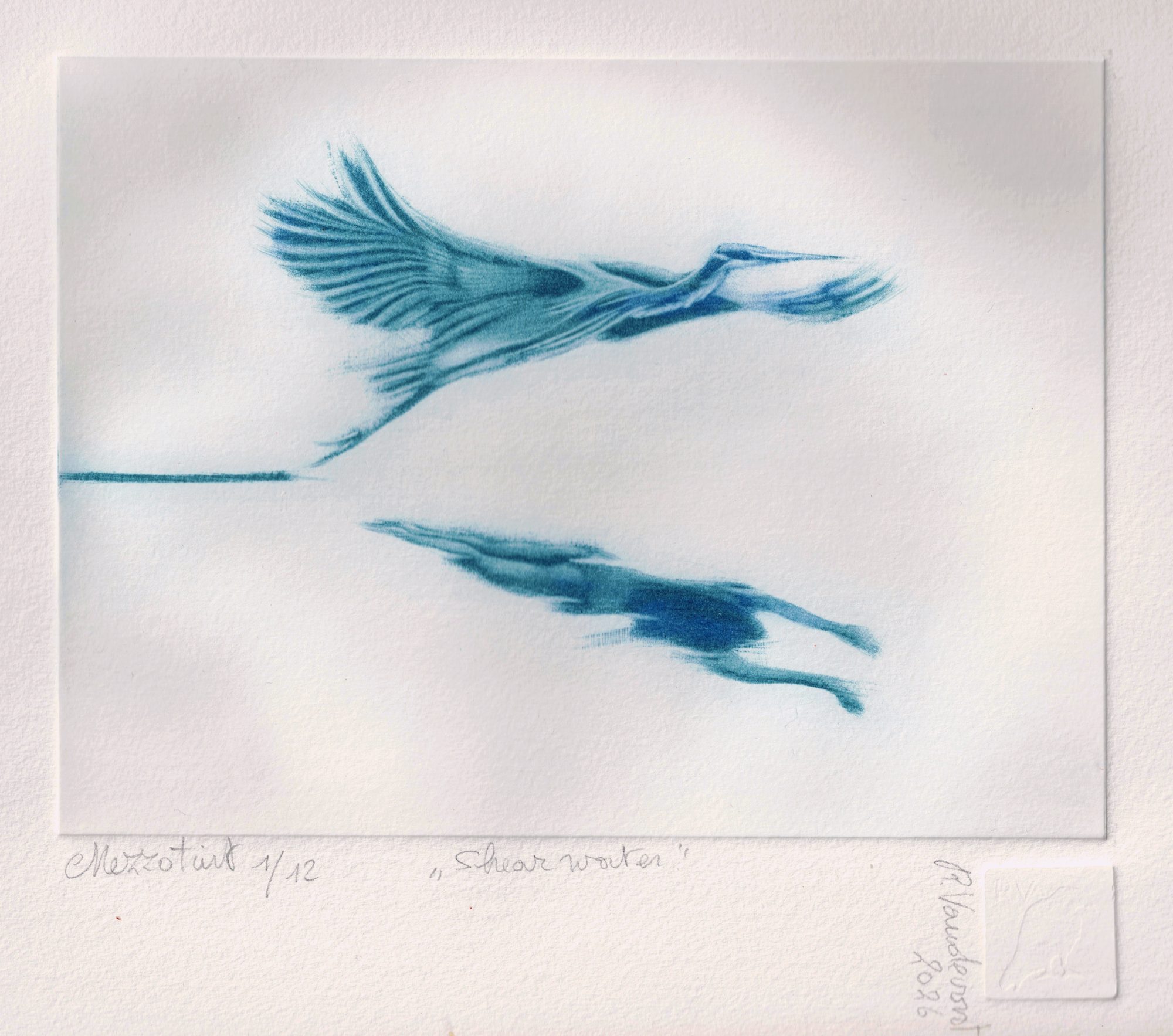 161 – Shearwater