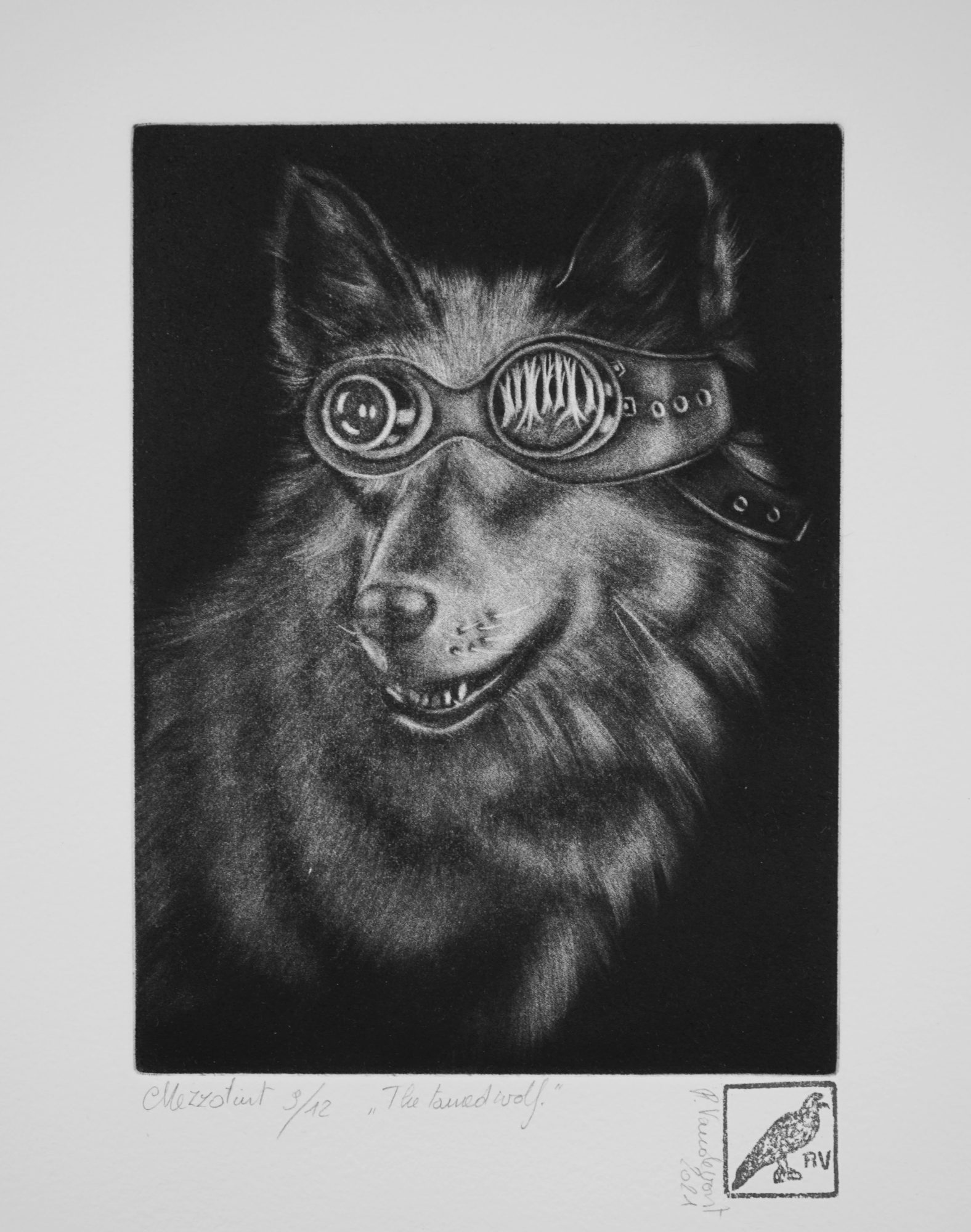 The-tamed-wolf, mezzotint print by Rita Vandevorst, 2021