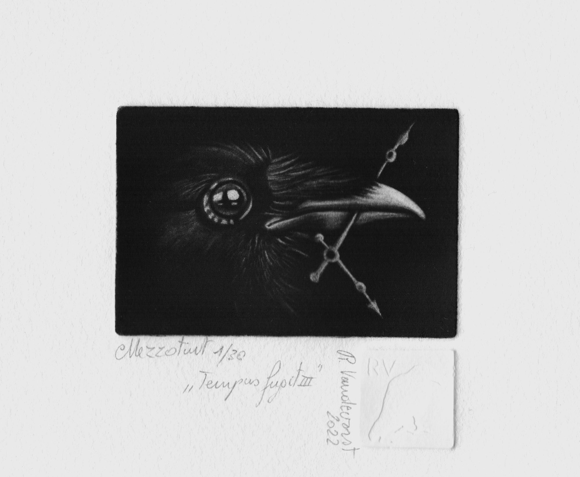 Time flies 3, mezzotint print by Rita Vandevorst, 2022