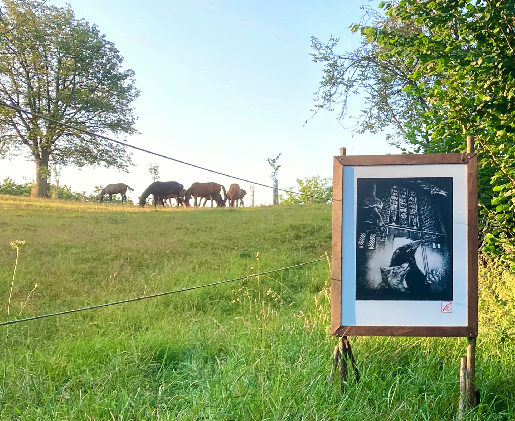 Experiences – Belgium – 2022