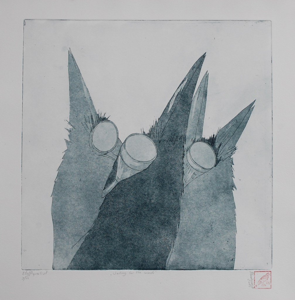 037 – Waiting for the wind